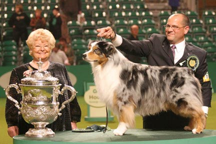 crufts1.jpg